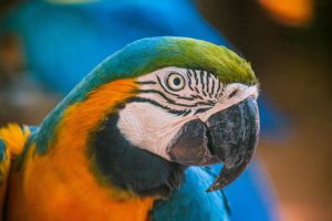 pexels-claudio-mota-105200226-16076552